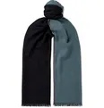 Fringed Colour-Block Baby Cashmere Scarf - 4