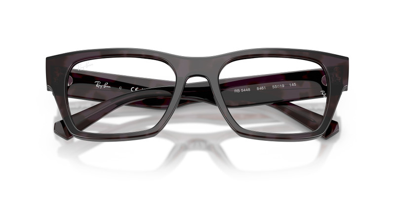 RB5448 OPTICS 5