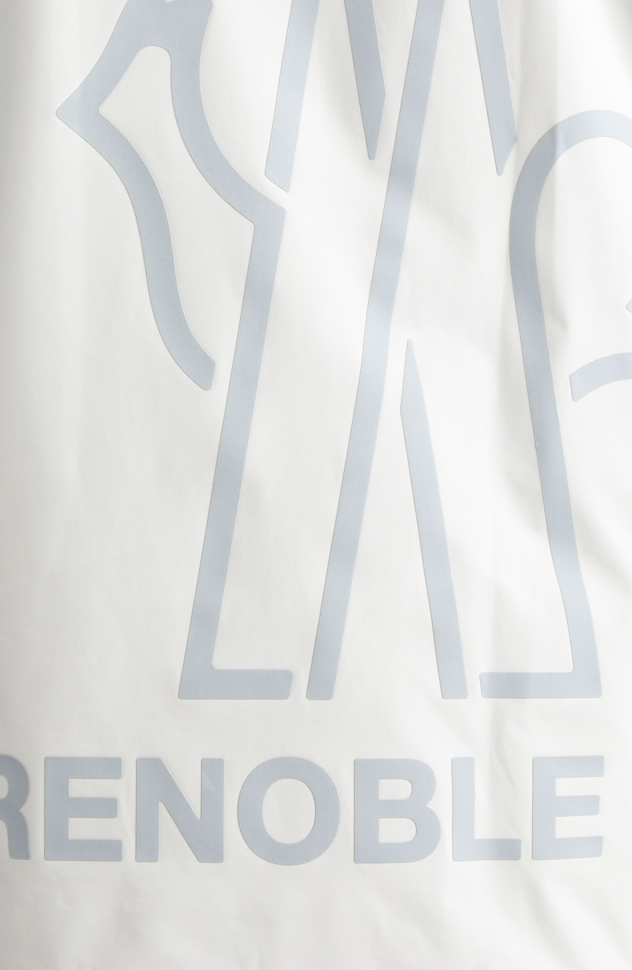 Moncler Grenoble Staz Hooded Jacket in Ice at Nordstrom - 5