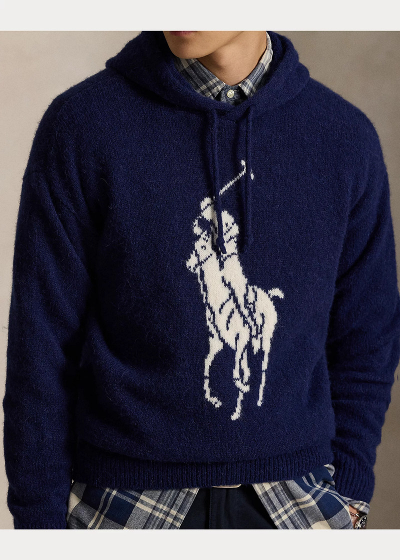 Big Pony Wool-Blend Hooded Sweater 5