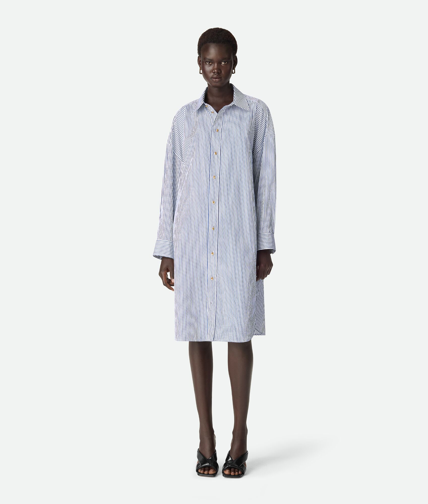 Pinstripe Cotton Poplin Dress - 1