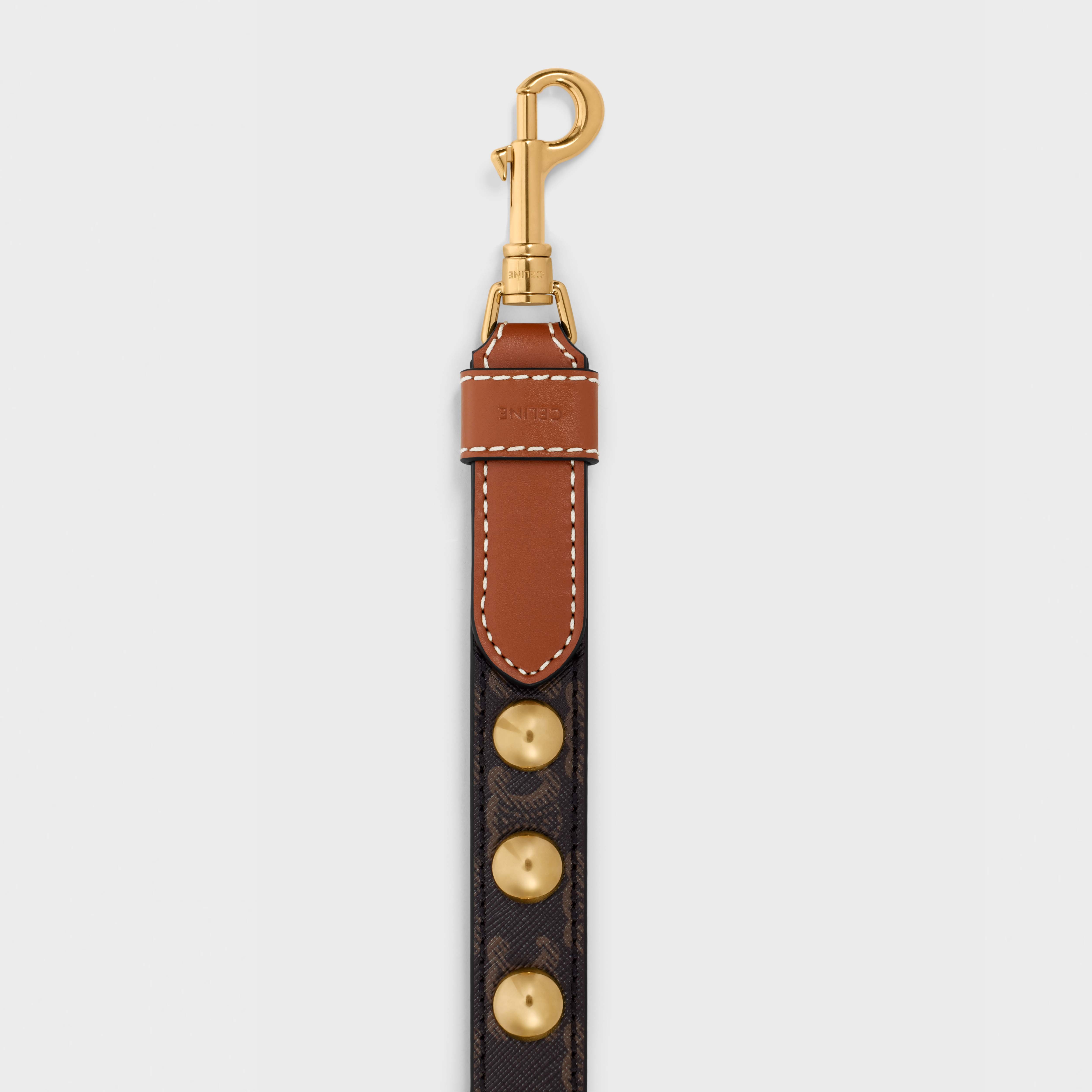 Thin Dog Leash in Triomphe Canvas and Calfskin with studs - 3