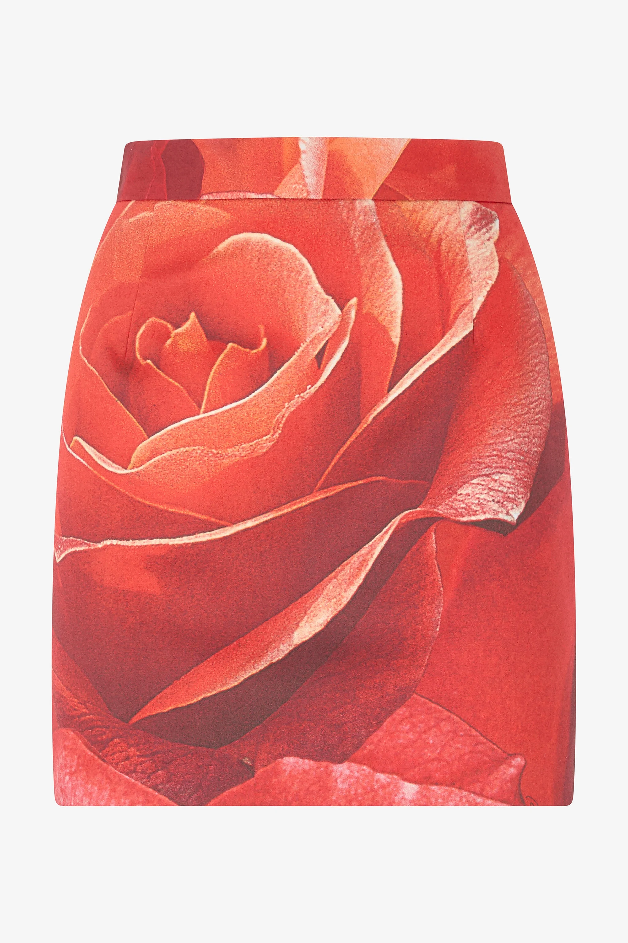 Miniskirt With Rose Print - 1