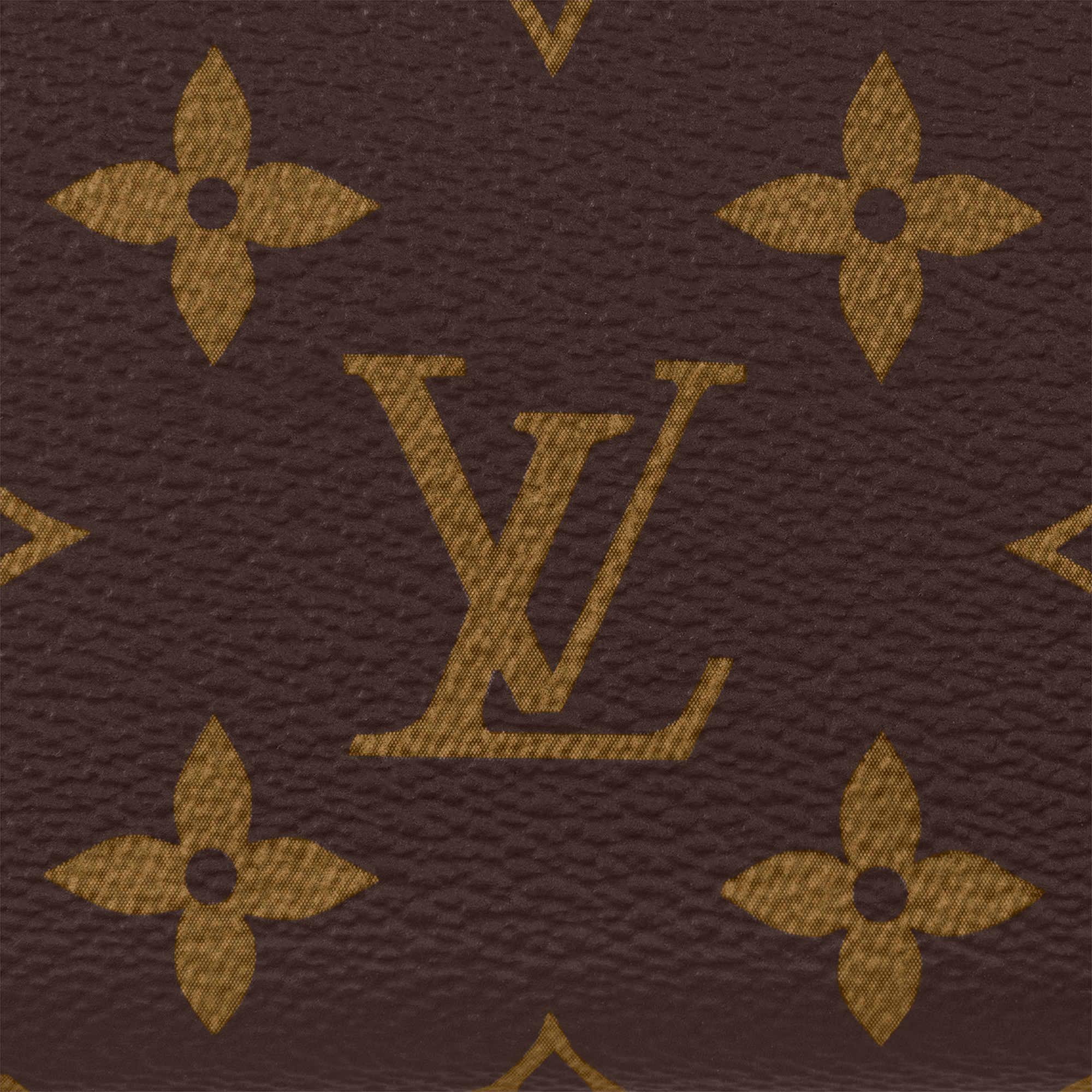 Clémence Wallet - 4