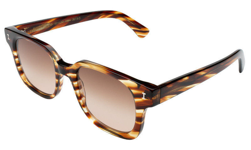 Ellison Sunglasses 4