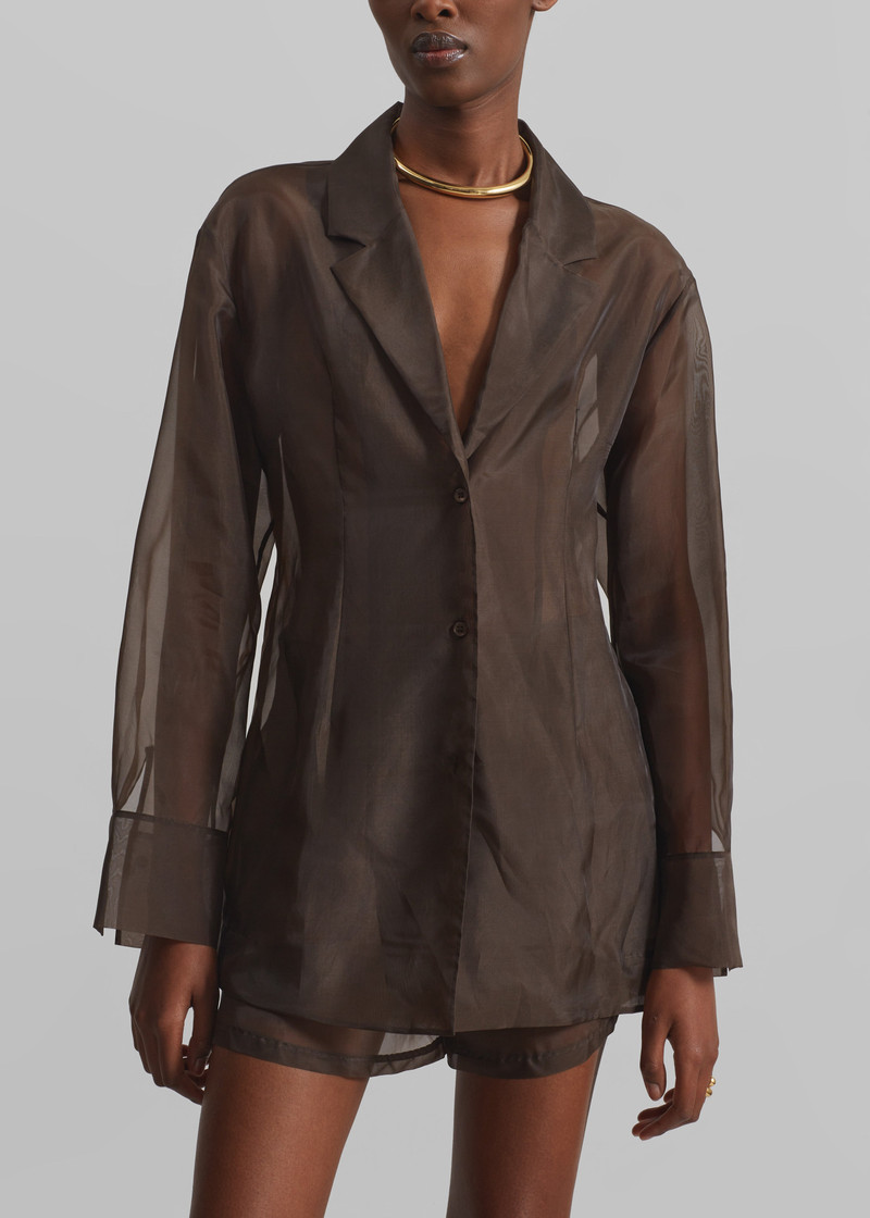Lise Sheer Blazer - Brown 6