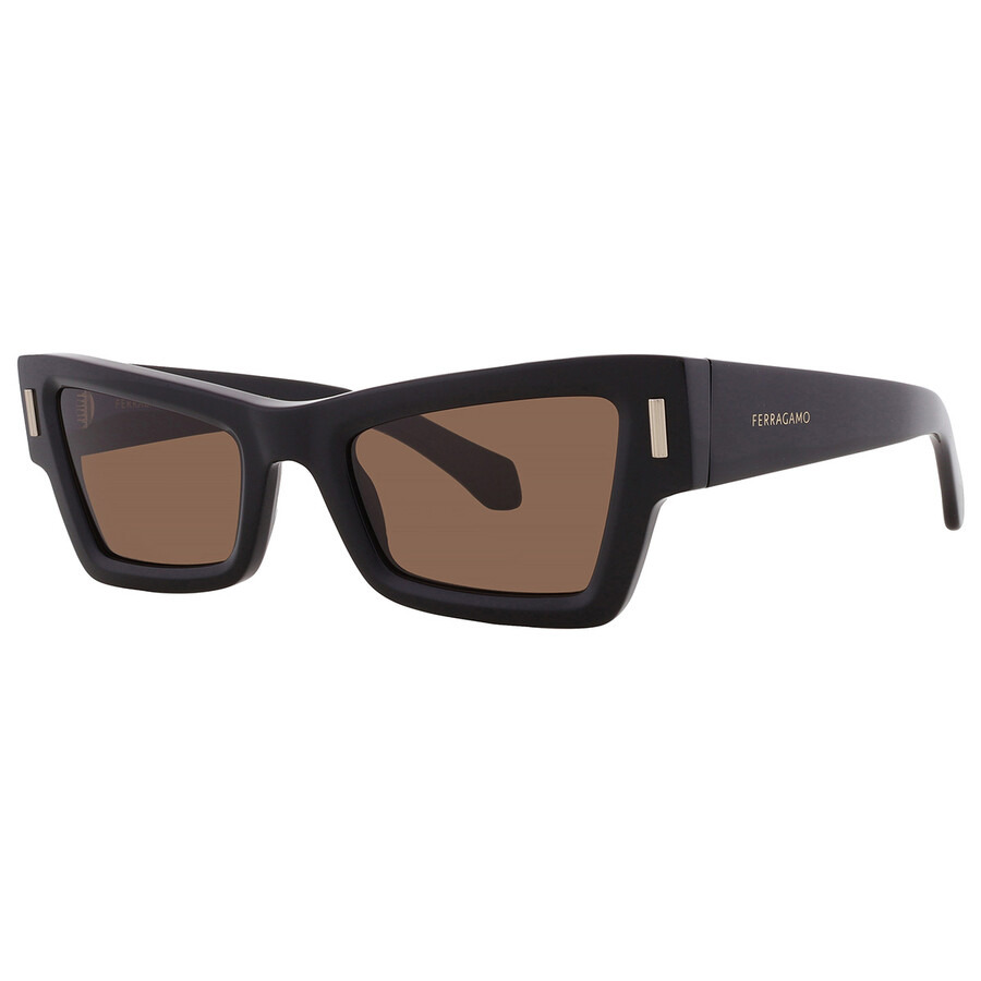 Ferragamo Brown Cat Eye Ladies Sunglasses SF2006S 001 53 - 2