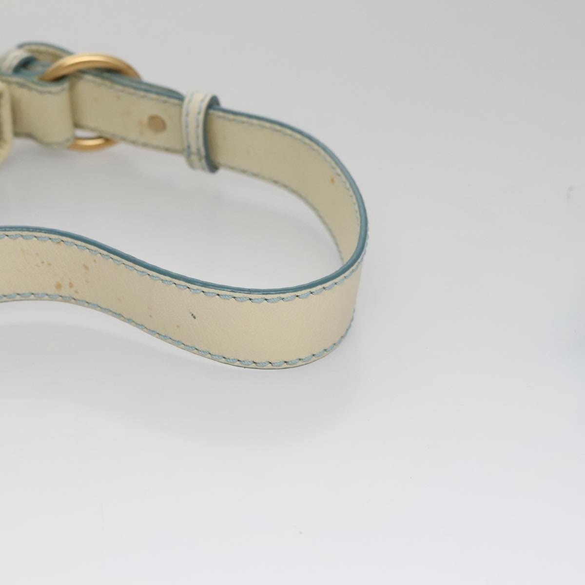 CELINE C Macadam Canvas Shoulder Bag Light Blue - 7