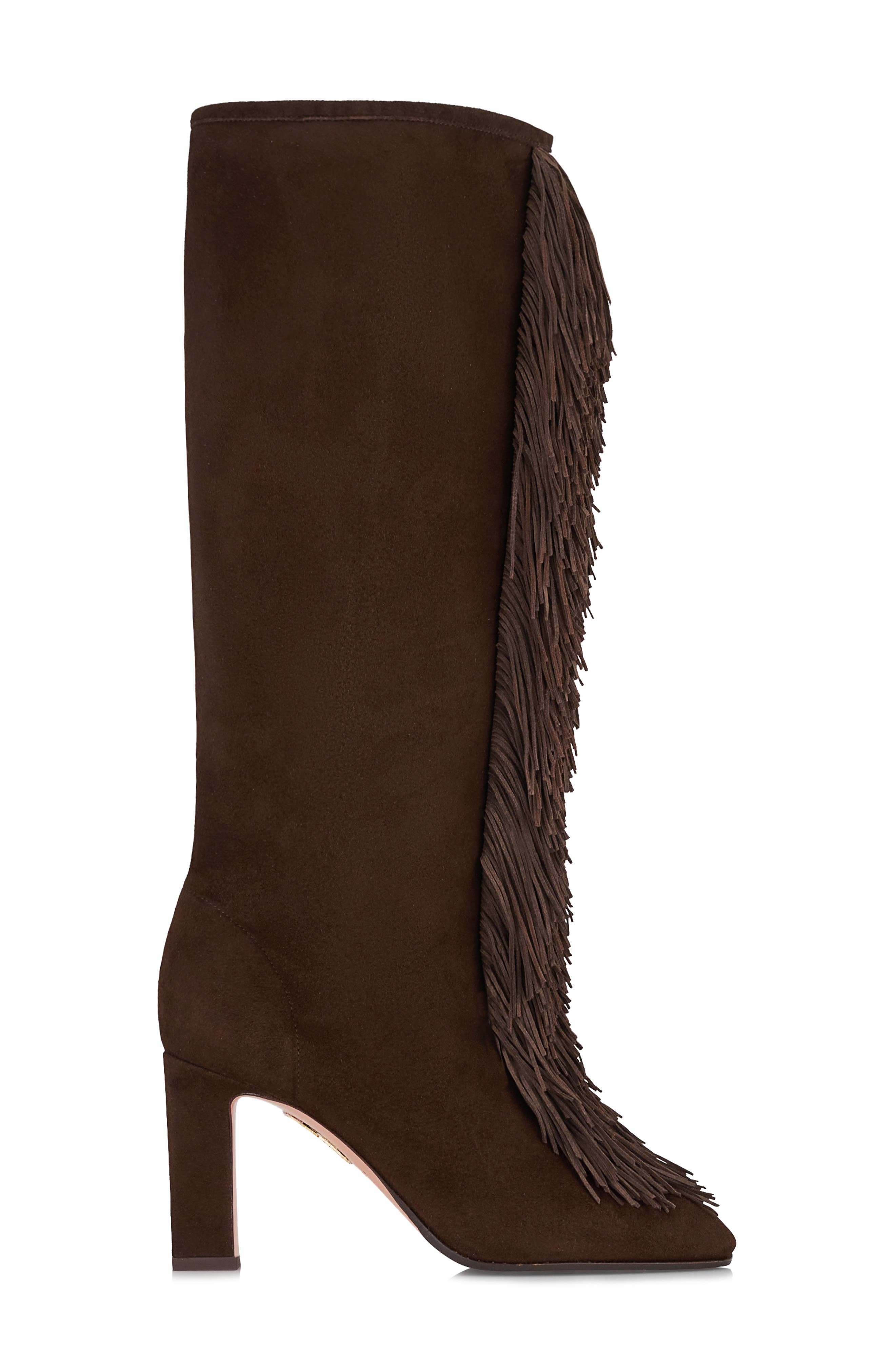 Aquazzura Gytane Fringe Front Knee High Boot in Espresso at Nordstrom - 3