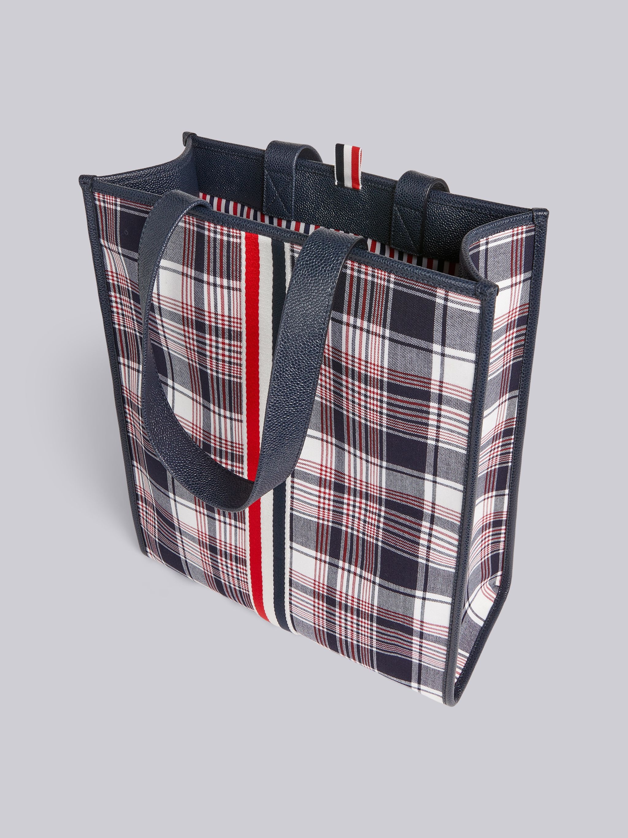 Multicolor Hairline Madras Check Suiting Webbing Stripe Vertical Tote - 5