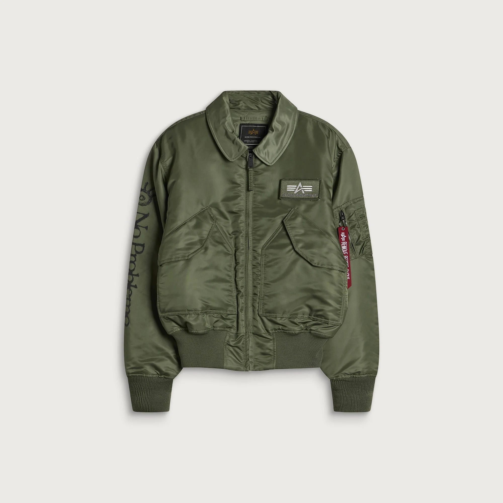 No Problemo NP x Alpha Industries Ancient Findings Jacket - 1
