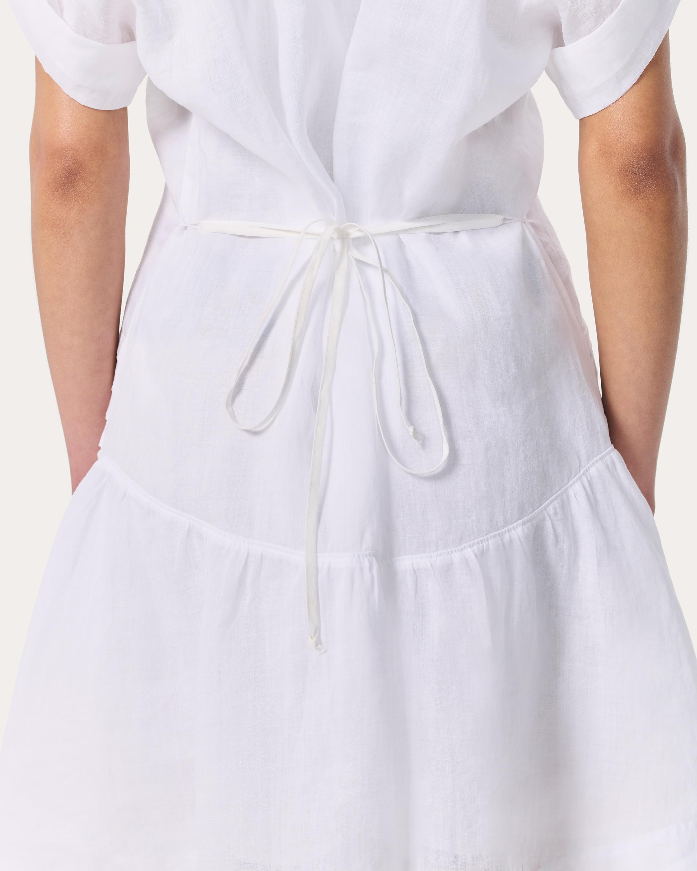 Viviana Pintuck Dress - 5