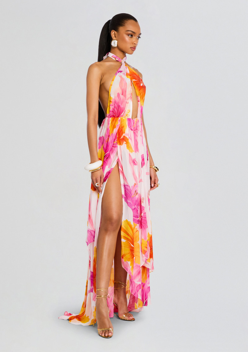 INA SILK CHIFFON DRESS 4