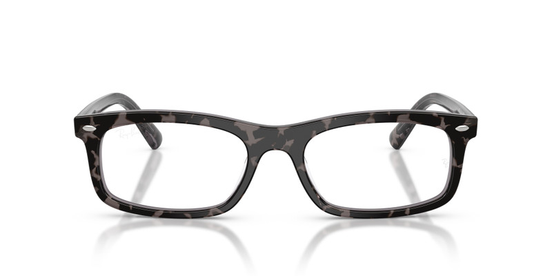 RB5450 OPTICS 4