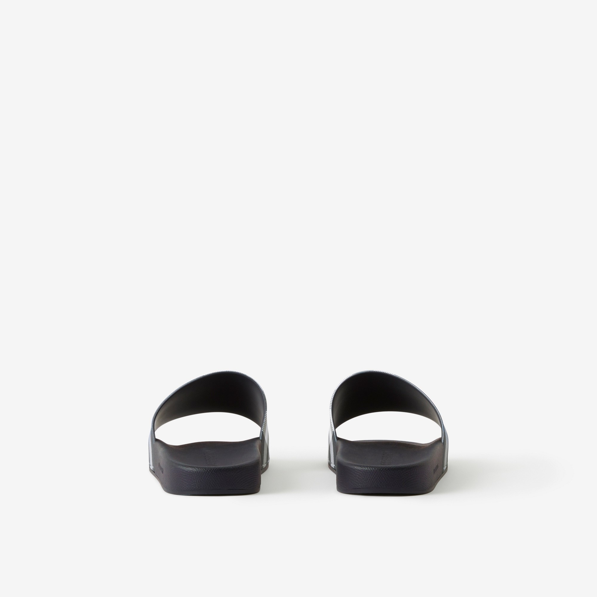 Check Print Slides - 3