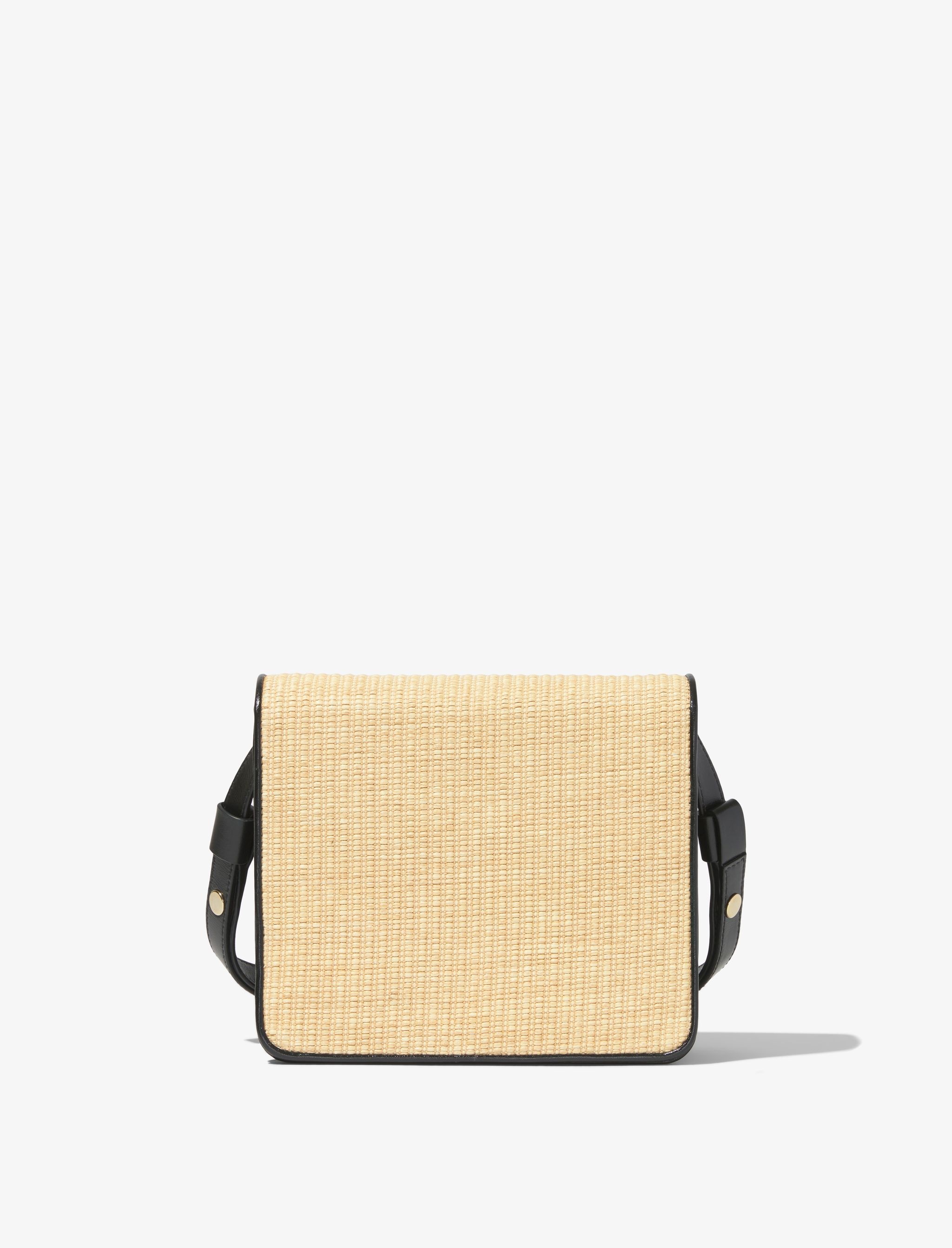 Raffia Dia Day Bag - 4