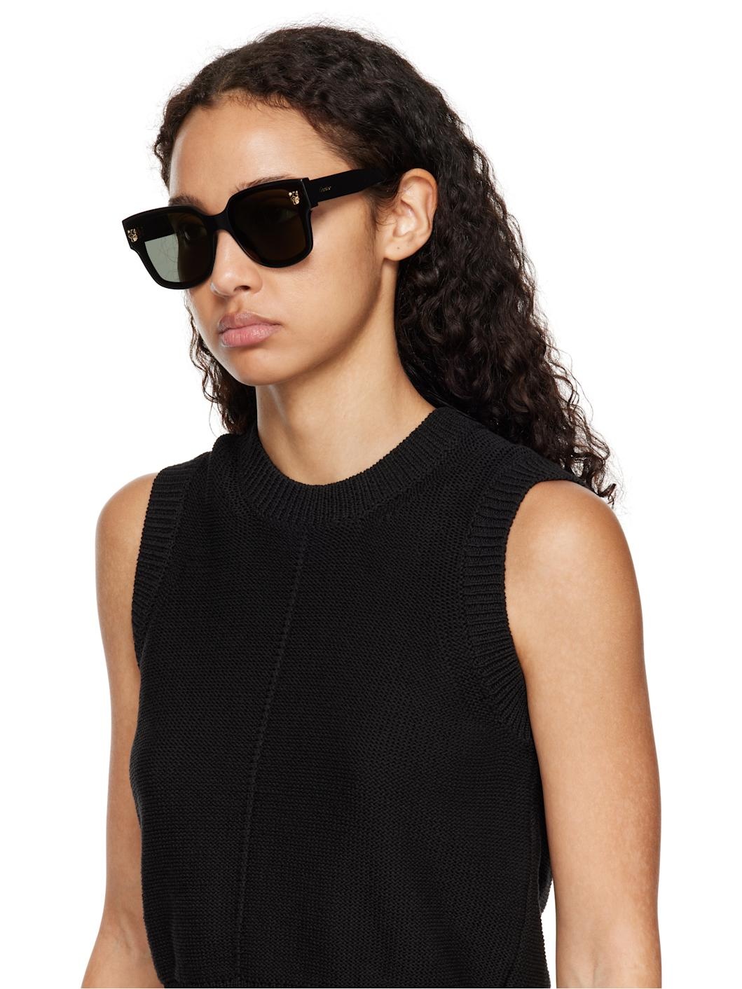 Black Panthère Wayfarer Acetate Sunglasses - 4