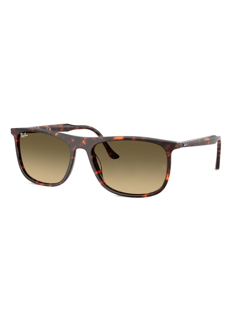 Ray-Ban Ray-Ban RB2216 outlook