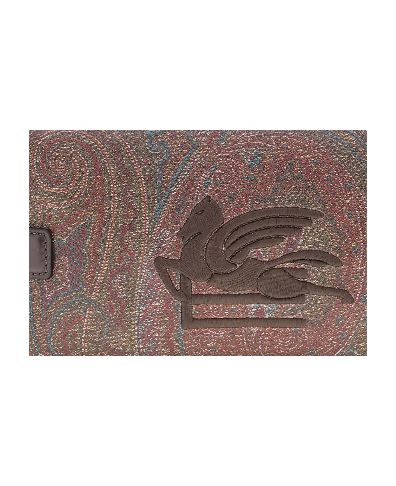Paisley Beauty With Pegaso - 4