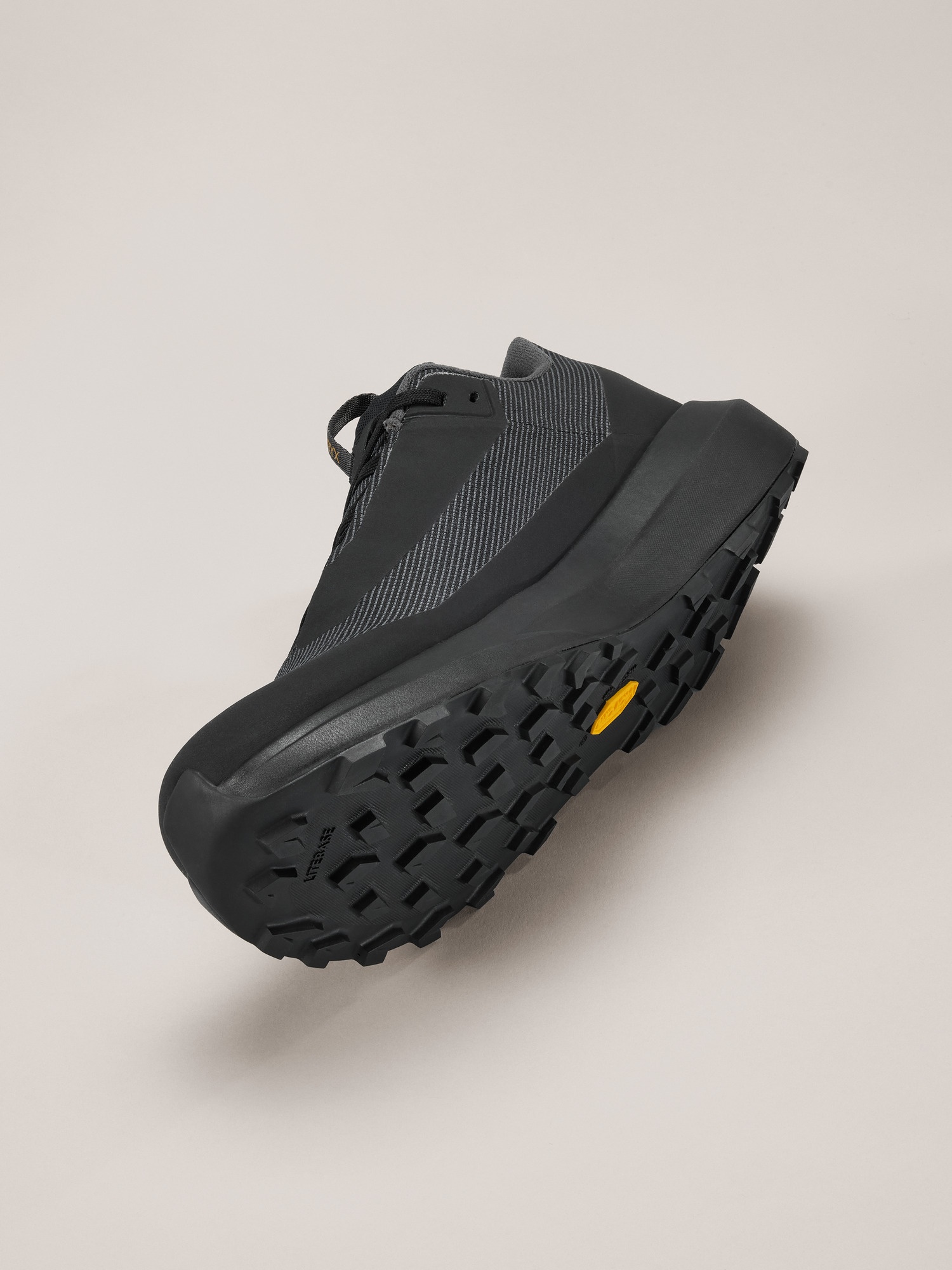 Norvan LD 4 GTX Shoe - 6