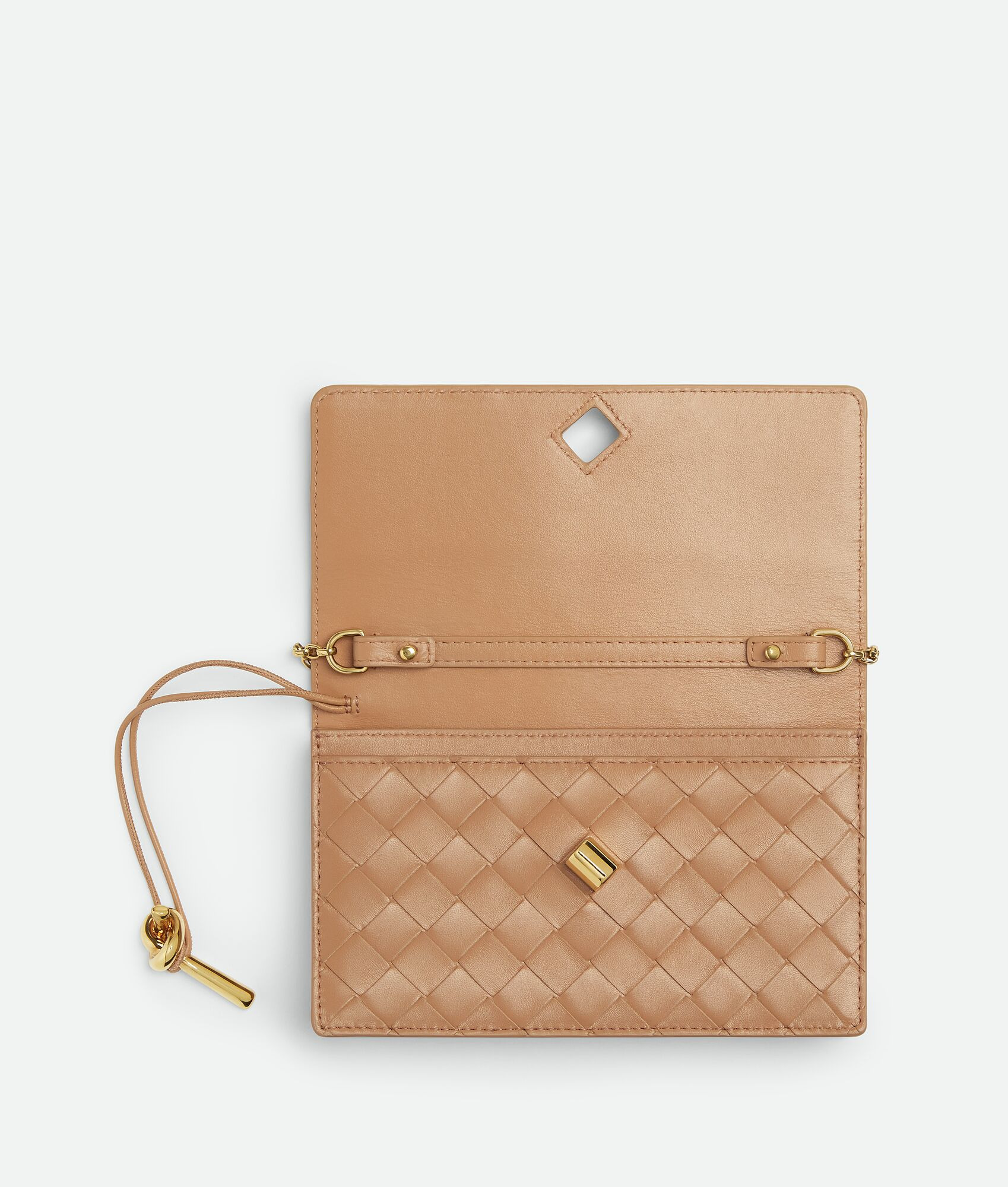 Andiamo Wallet on Chain - 3