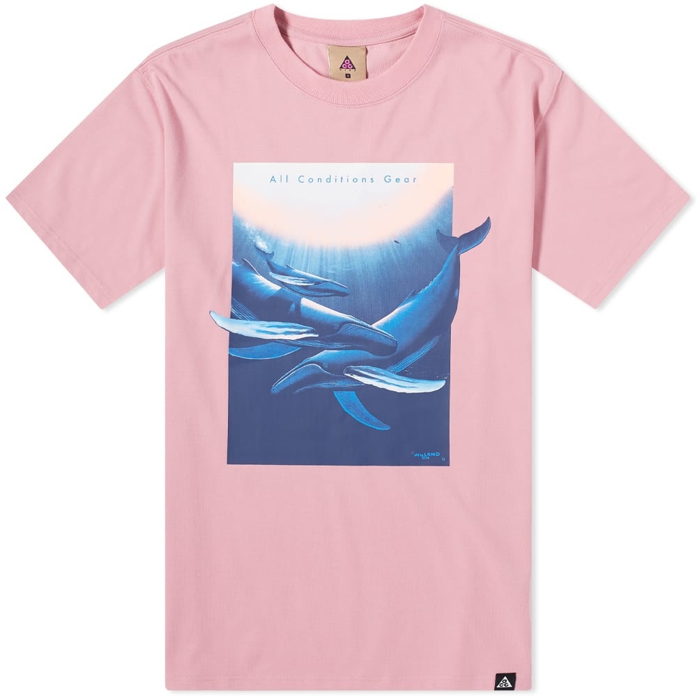 Nike ACG Whale Tee - 1