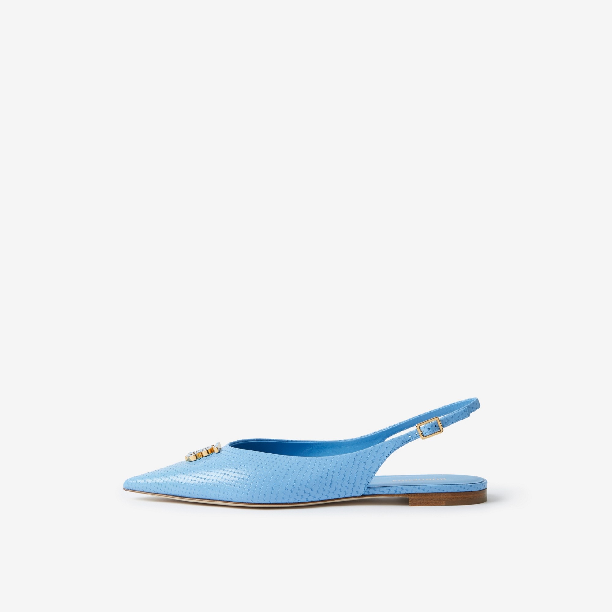 Monogram Motif Leather Slingback Point-toe Ballerinas - 5