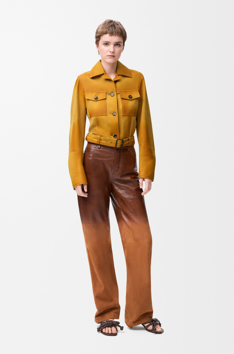 Loewe Trousers in suede lambskin outlook