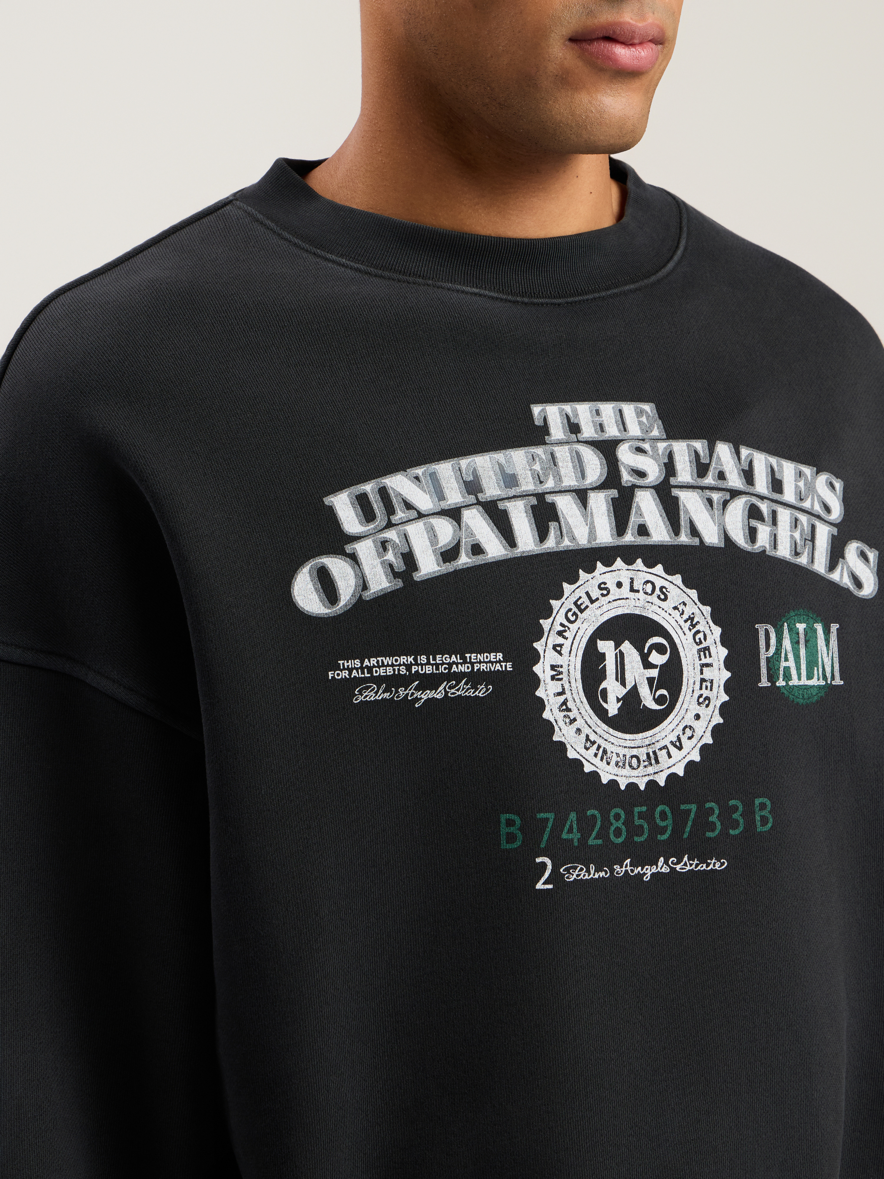 Dollar Loose Crew Sweatshirt - 6