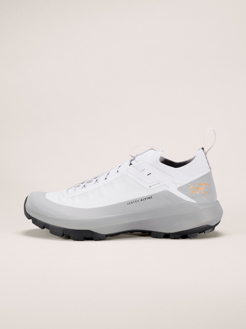 Vertex Alpine GTX Shoe 1
