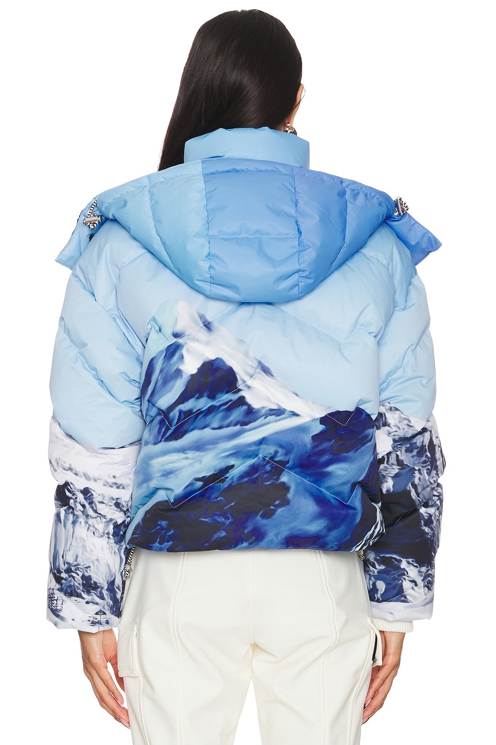 Moutain Puffer Ski Jacket - 5