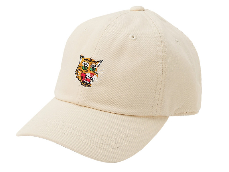 CAP 1
