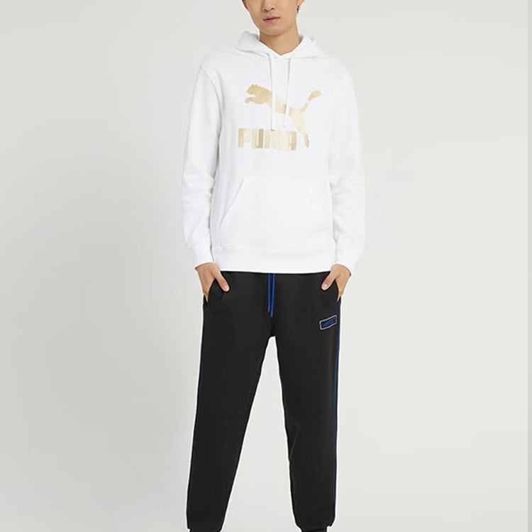 PUMA Classics Metallic Regular Fit Hoodie 'White' 537678-02 - 2