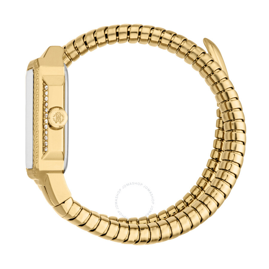 Roberto Cavalli Vera Silver-tone Dial Ladies Watch RC5L115M0035 - 3