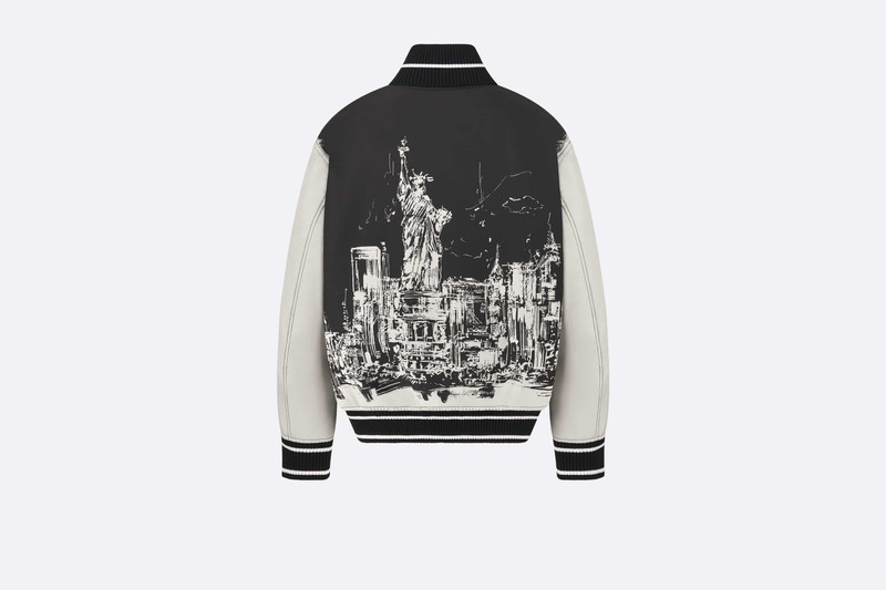 Dior Bomber Jacket outlook