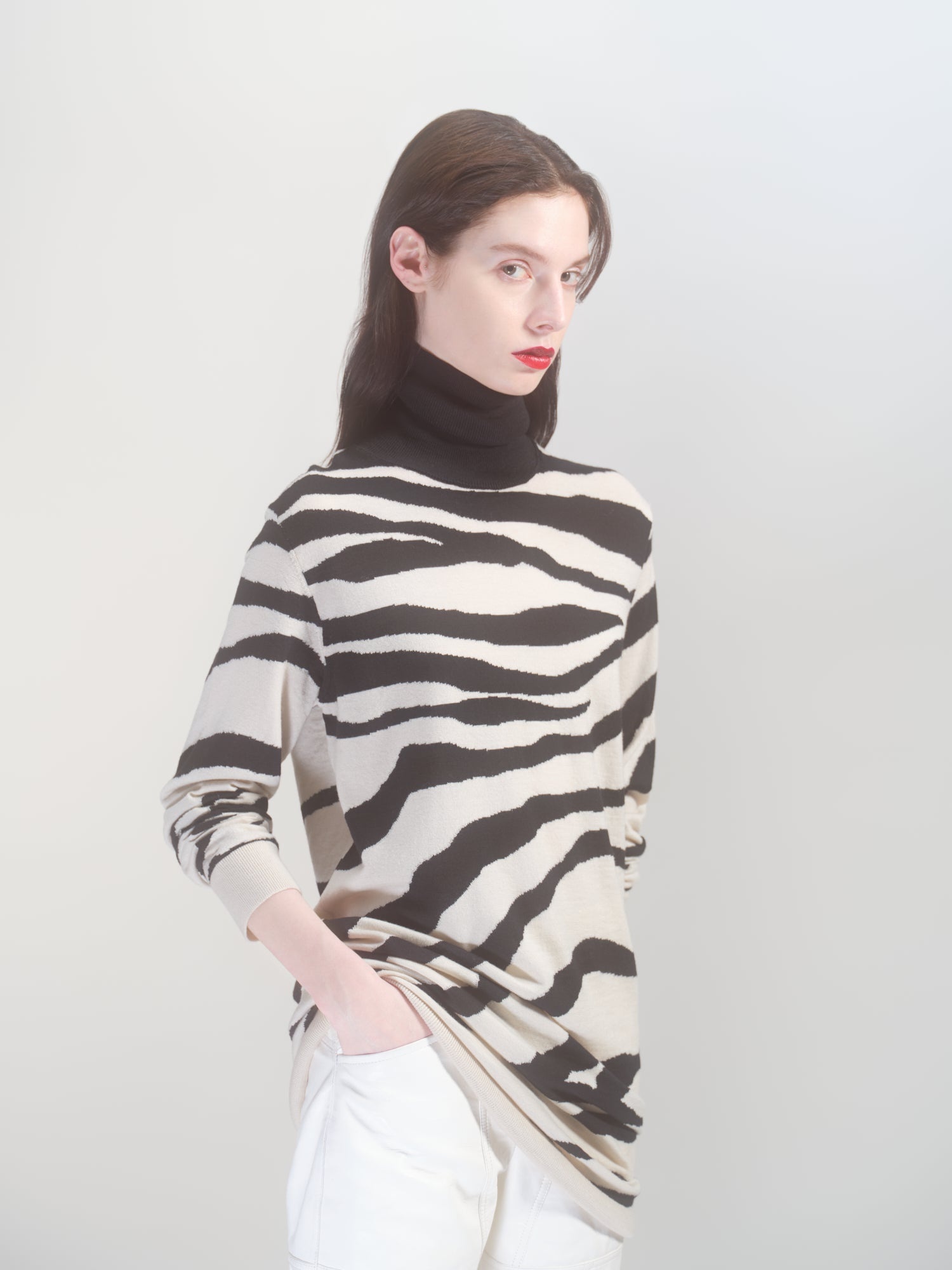 ZEBRA KNIT DRESS - 2