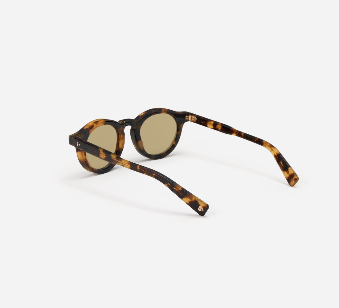 P3 Round - SP-01 - Tortoise/Yellow - 5