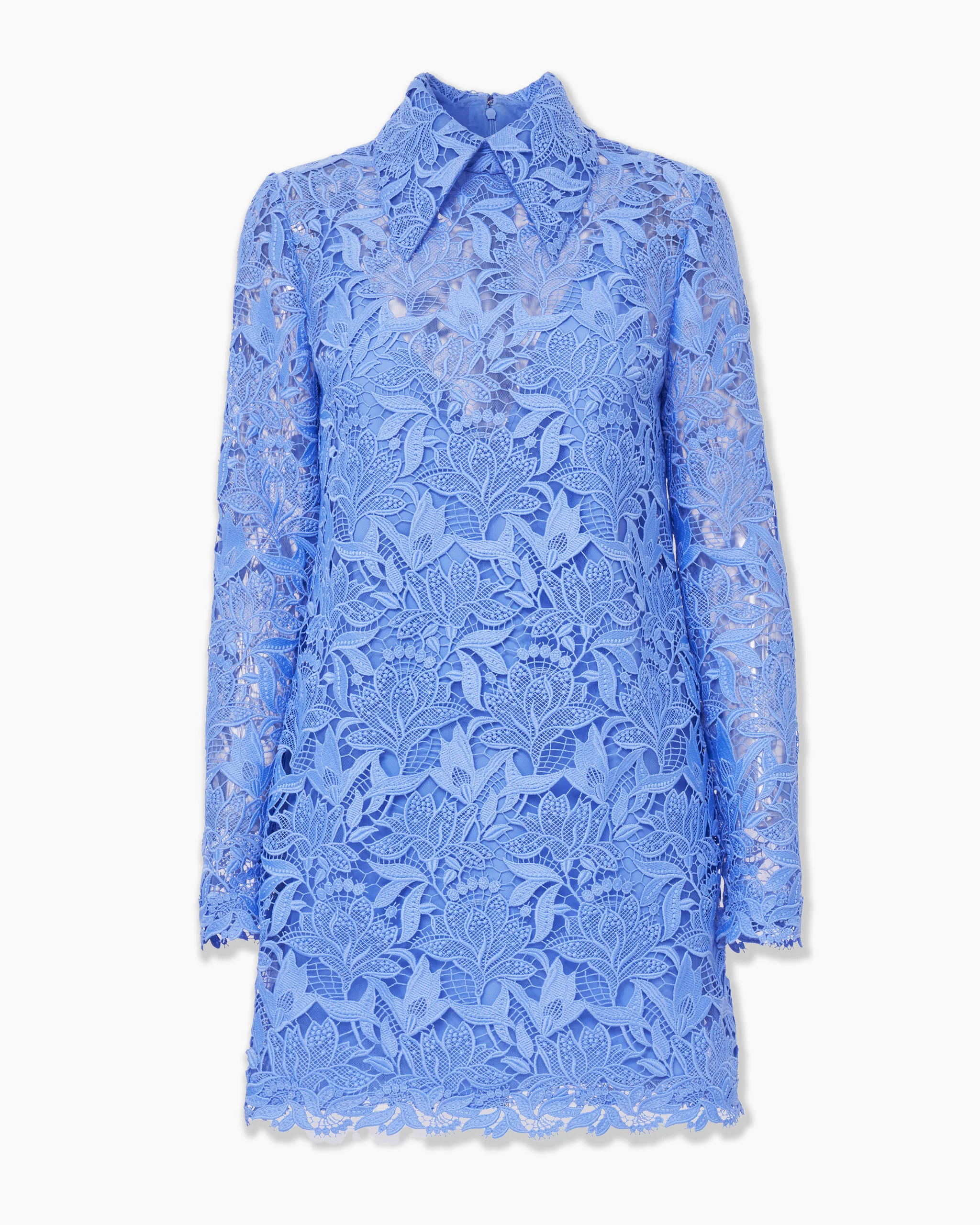 Tulip-Embroidered Lace Mini Dress - 1