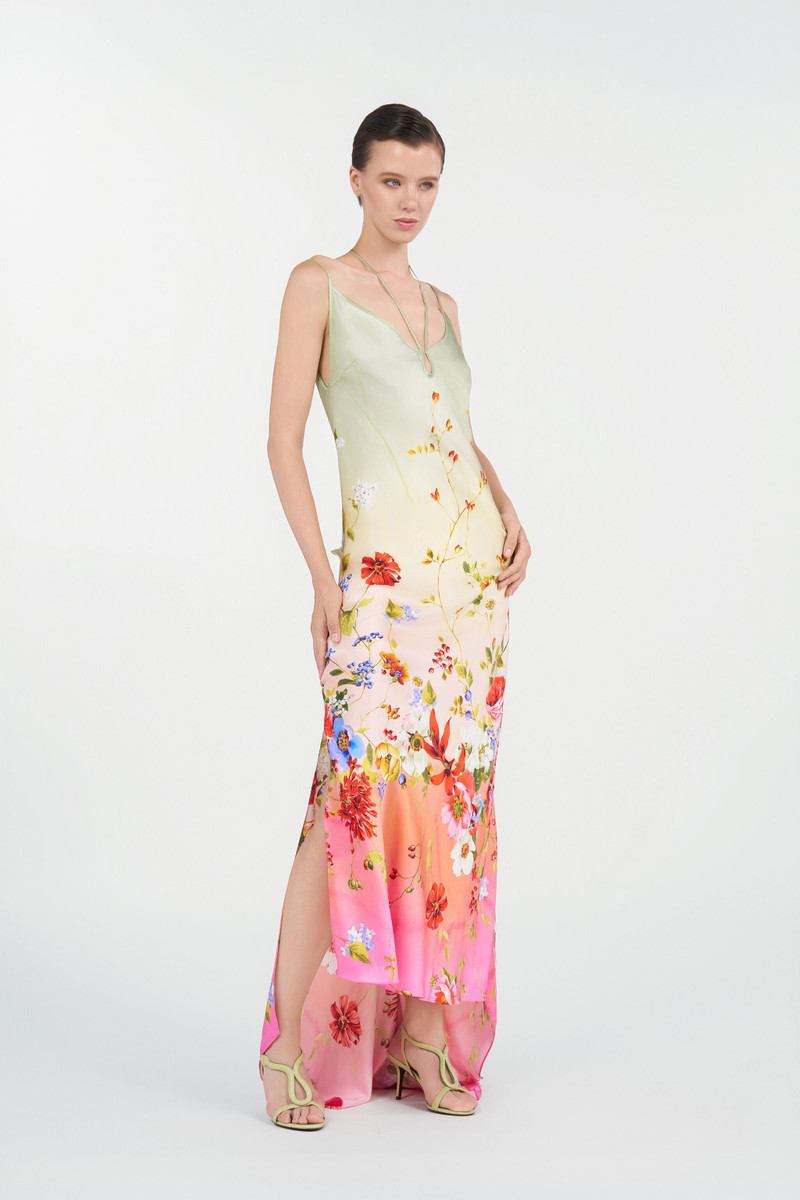 Roberto Cavalli Maxi Dress with Miami Flowers Print outlook