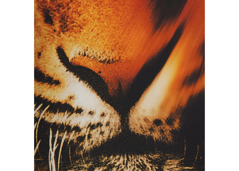 SKIMS SKIMS x Roberto Cavalli Halter Bikini Top Tiger Face Print outlook