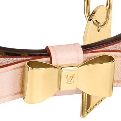 Louis Vuitton Baxter XSmall Dog Collar outlook