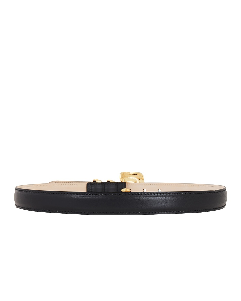Tetra Belt - 2