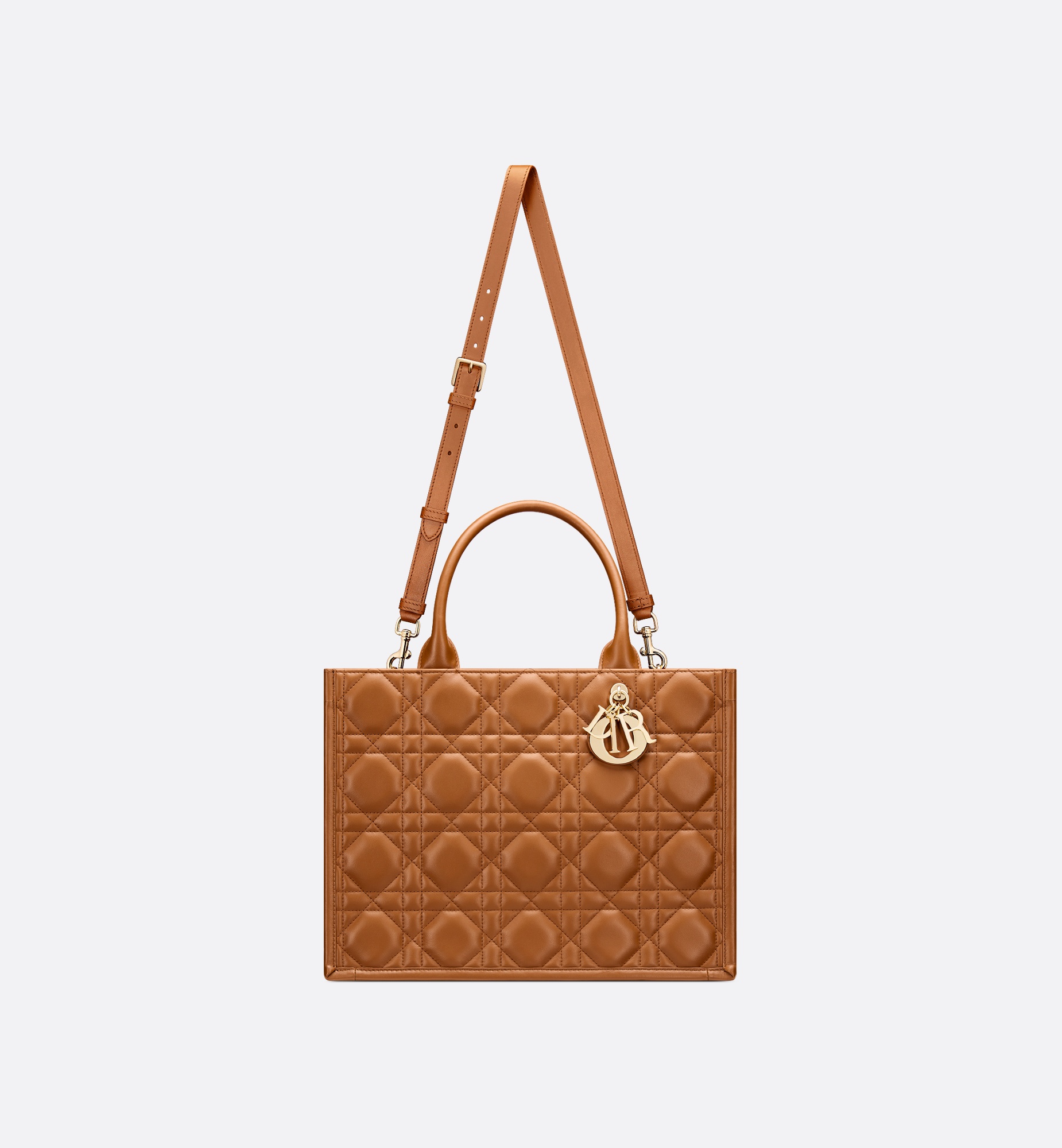 Medium Dior Book Tote - 5