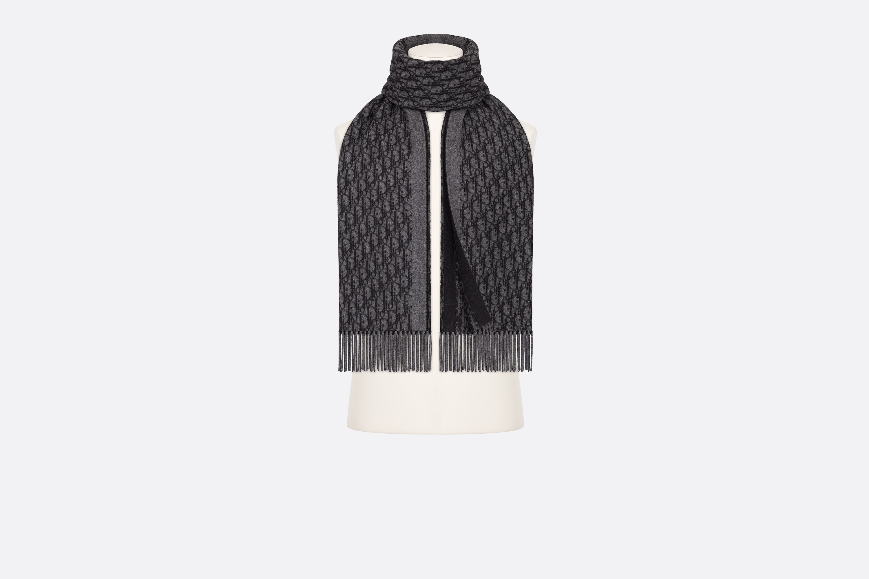 Dior Oblique Scarf - 2