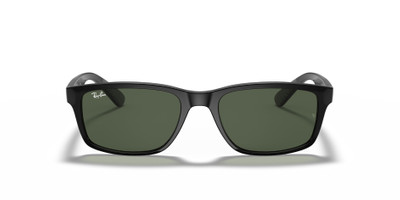 Ray-Ban RB4234 outlook