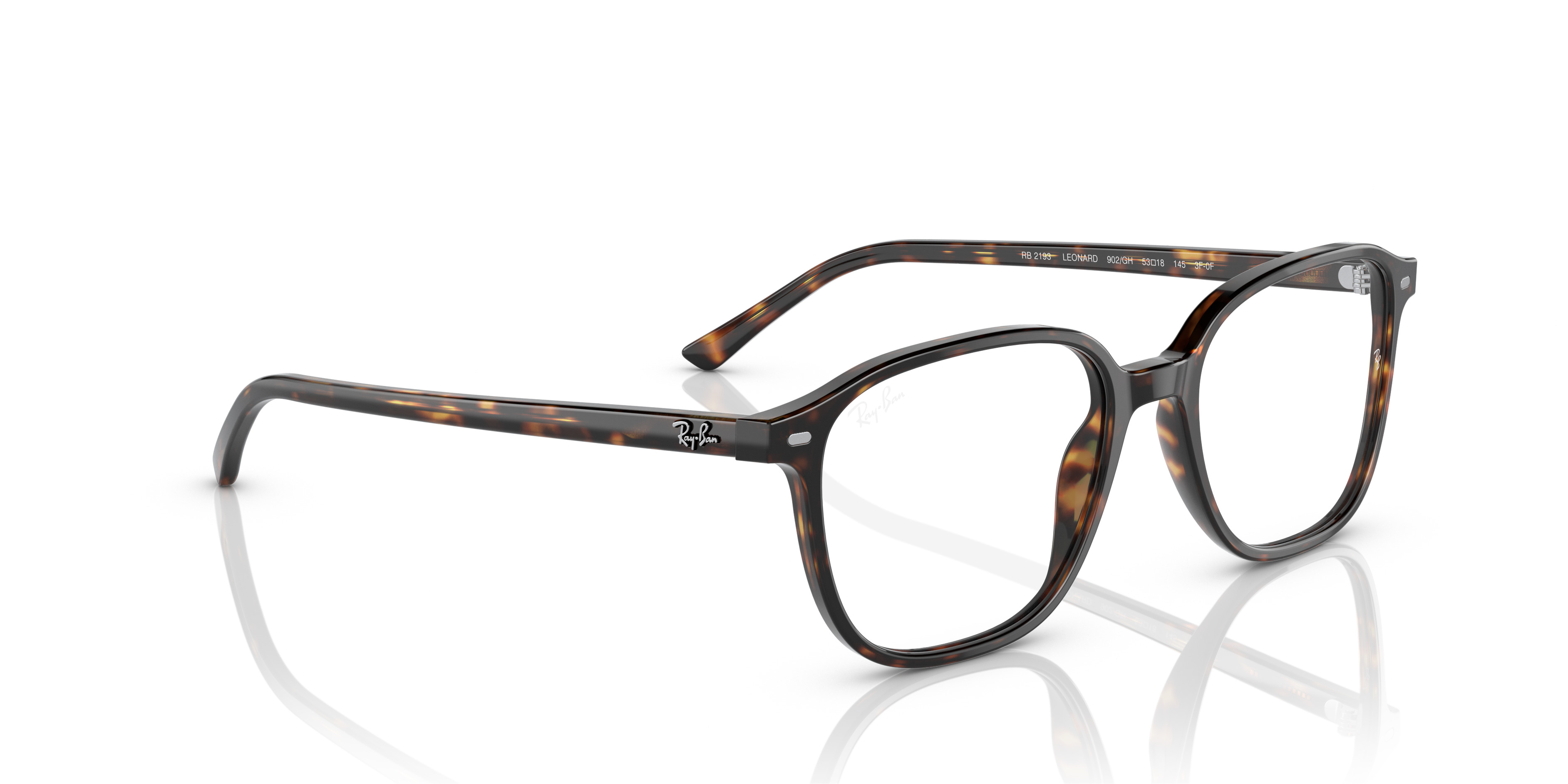 Ray-Ban レイバン　LEONARD TRANSITIONS® グレー Ray-Ban レイバン LEONARD TRANSITIONS® グレー LEONARD TRANSITIONS