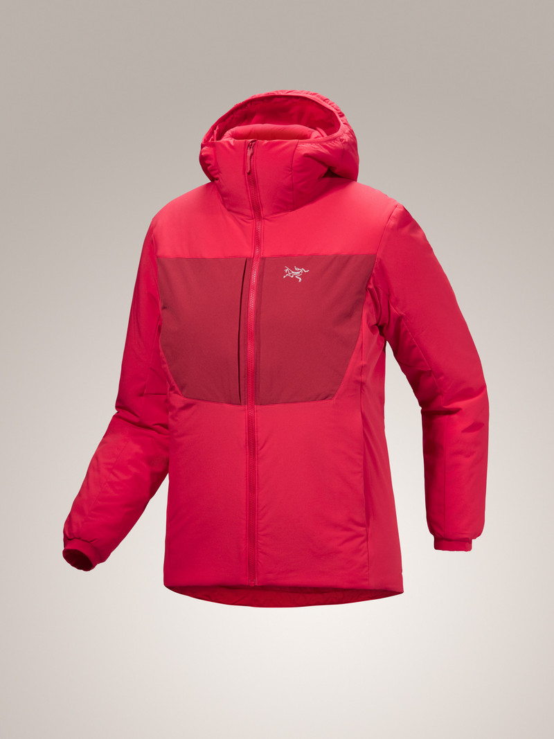 Proton Heavyweight Hoody 1