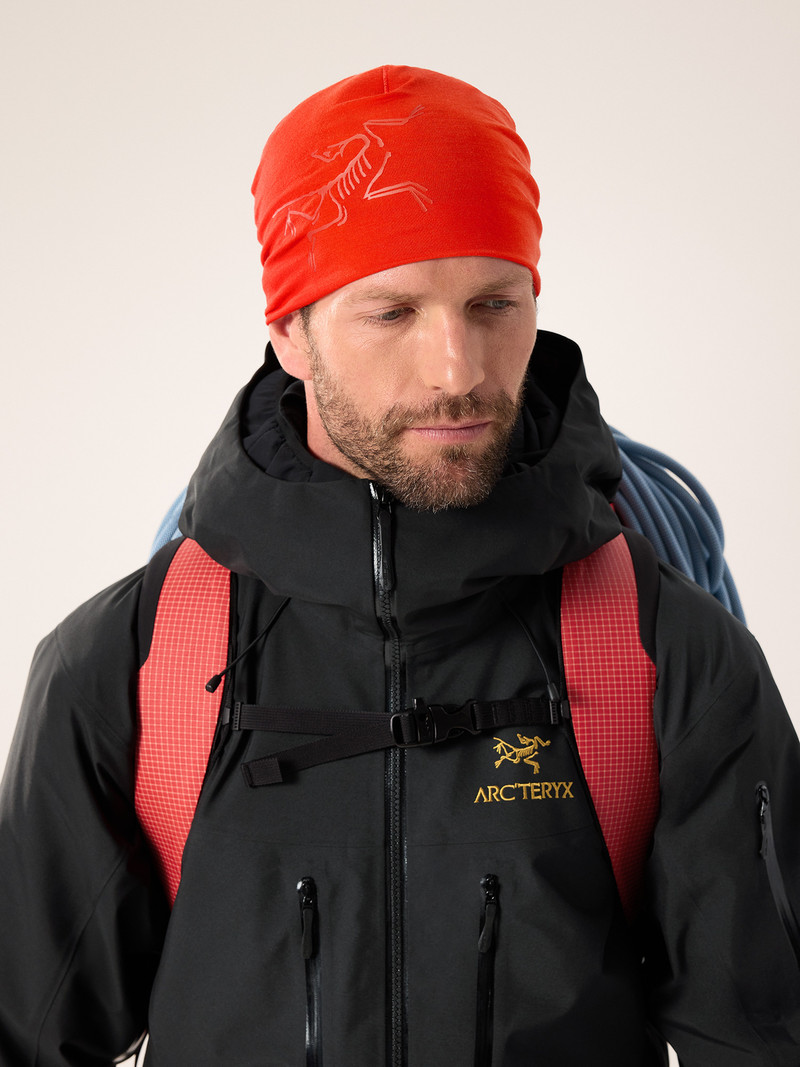 Satoro Merino Toque 3