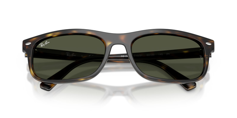 Ray-Ban RB2224 outlook