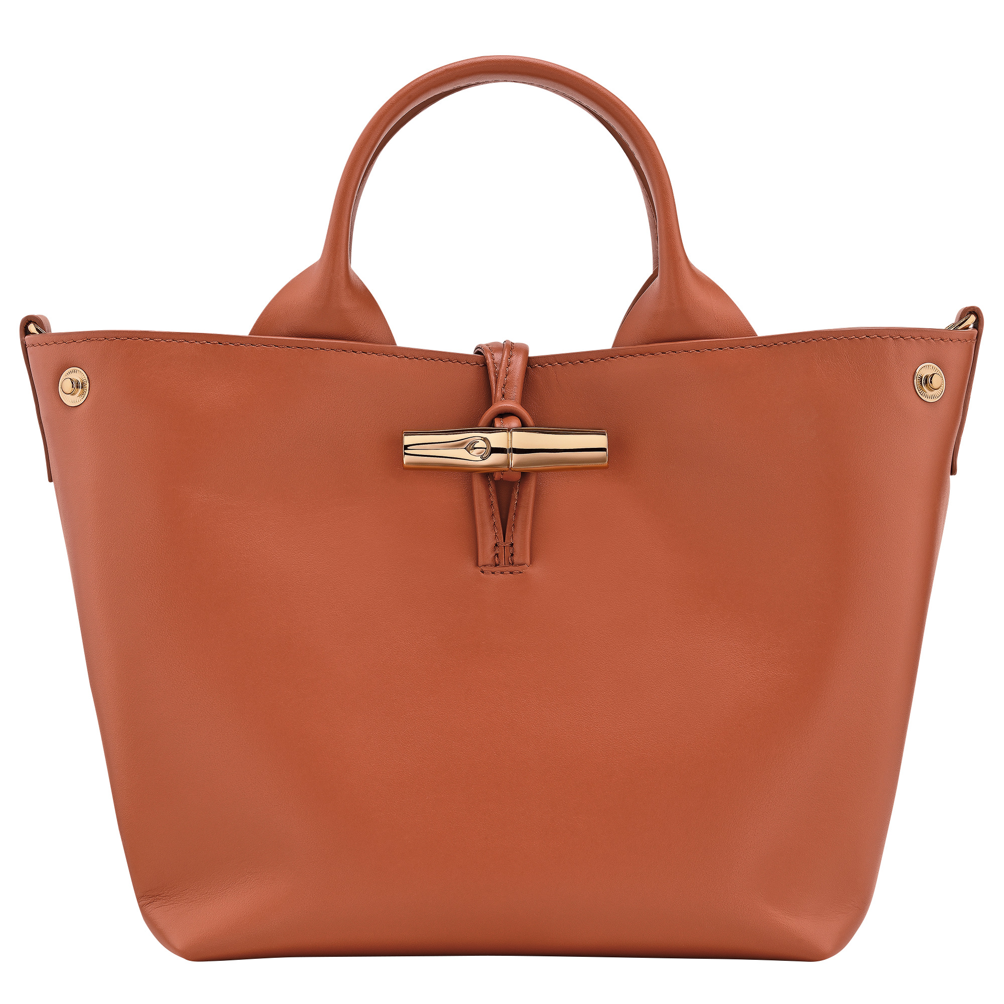 Le Roseau S Handbag Bark - Leather - 5